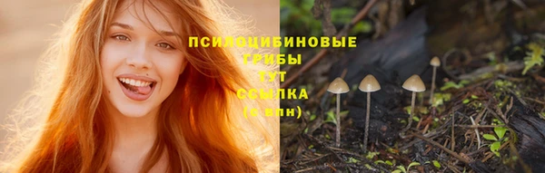 тгк Абаза