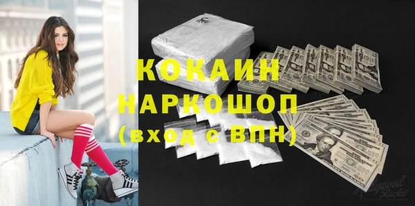 PSILOCYBIN Алзамай