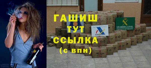 тгк Абаза