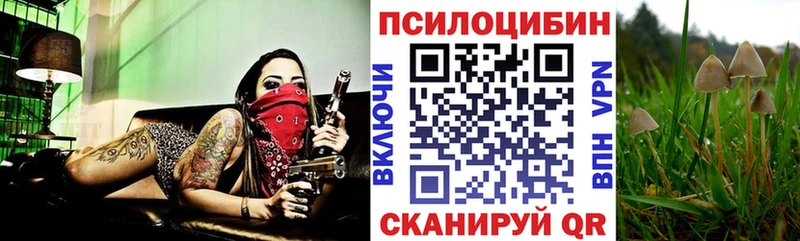Галлюциногенные грибы мицелий Заволжье